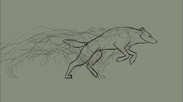 Wolf run cycle animation test