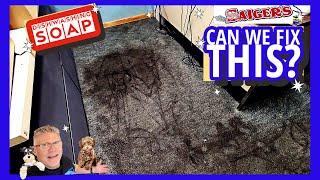 Can We FIX This? Someone used Dishwashing Soap to Clean this Carpet