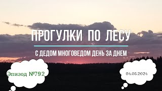 Прогулки по лесу. День за днем с дедом Многоведом. 4 мая 2024г. Эпизод 792.