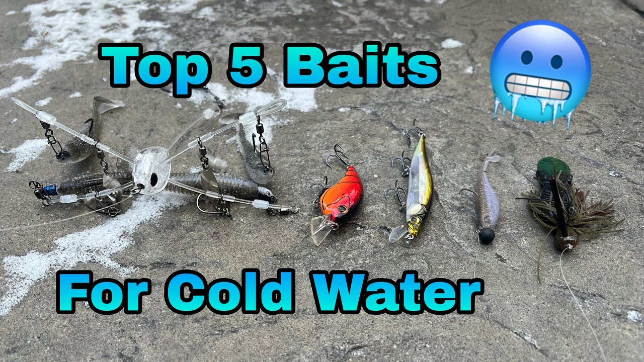 My Top 5 Baits to Catch Bass When it’s Freezing! #faith #fishing
