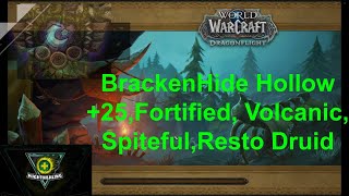 10.1.7 Resto Druid BrackenHide Hollow  25 Fortified, Volcanic, Spiteful, Mythic   World of Warcraft