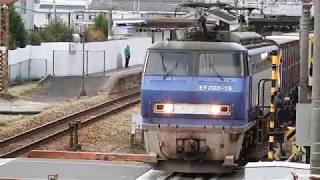 JR山陽本線　貨物列車　EF200ー19