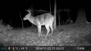 Cain cam 241122