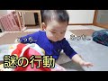 【赤ちゃん謎の行動】私には意味がわかりませんでした