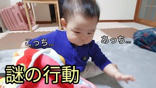 【赤ちゃん謎の行動】私には意味がわかりませんでした