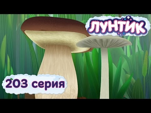 Мультфильм белый гриб