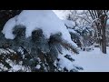 Зима в Черевково