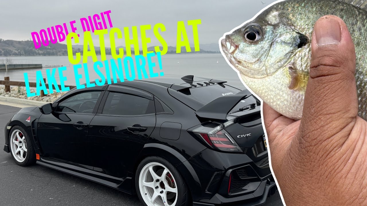 First time fishing at Lake Elsinore. Caught 10 fish! Bluegill / Bass Fishing in Southern California