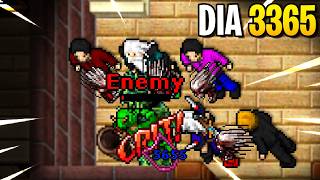 Routine of a PK team in Ferobra on Tibia