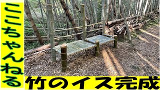 竹林整備 『竹のイス設置』