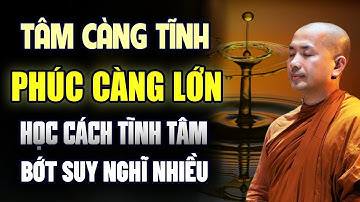 TÂM CÀNG TĨNH PHÚC CÀNG LỚN, HỌC CÁCH TĨNH TÂM BỚT SUY NGHĨ NHIỀU | Thầy Minh Niệm