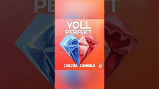 Das Berliner Kult-Kollektiv Culcha Candela liefert mit „Voll Perfekt“ einen neuen Club-Hit #shorts