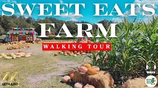Getting LOST in Georgetown's Biggest Corn Maze | 4K/60 Binaural Walking Tour