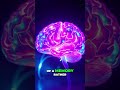 Can You Trust Your Memory Childhood Test Reveals Shocking Truth!
