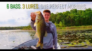 Calm Summer Morning Bass Fishing in West Metro MN — 6 Catches on 3 Lures!