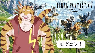 【FF14】みんなでモグコレ！　#29【Vtuber/虎縞雷一】