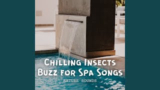 Gentle Insect Serenade