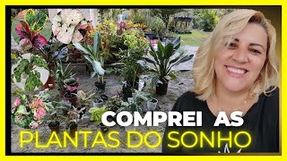 dessa vez extrapolei na compra de plantas - realizei desejos e sonhos