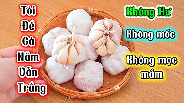 4 Cách Bảo Quản Tỏi Hiệu Quả Nhất - Cả Năm Không Hư, Không Mốc, Không Mọc Mầm