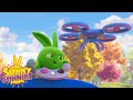 SUNNY BUNNIES - Hopper&#39;s New Toy | Season 7 | Cartoons for Kids