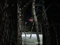 Россия с новым годом 2026 всем пофигу на запреты