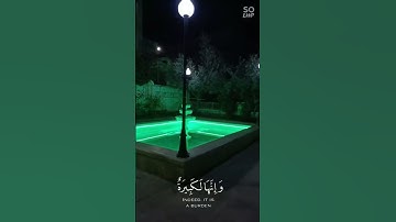 تلاوة خاشعة مسجد عمرو بن العاص