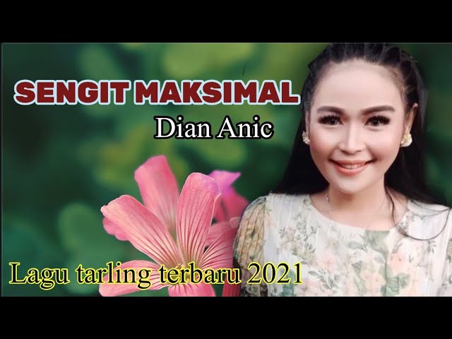 Sengit maksimal Dian anic/lagu tarling terbaru/anica nada class=