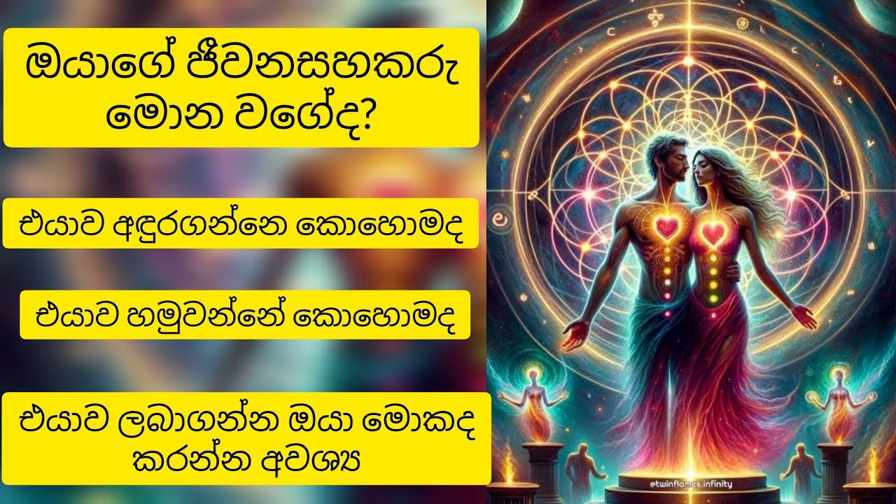 ❤️ඔයාගේ ජීවන සහකරු/සහකාරිය ගැන දැනගන්න😱විශ්ව මාතාවගේ පණිවියයි මේ❤️