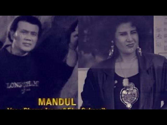 Rhoma Irama & Elvy Sukaesih - Mandul (Official Lyric Video) class=