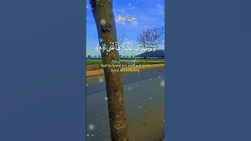 سورة الضحى بصوت هادئ مكتوبة ومترجمة.   Sourate Al-Dhuha d'une voix calme, écrite et traduite