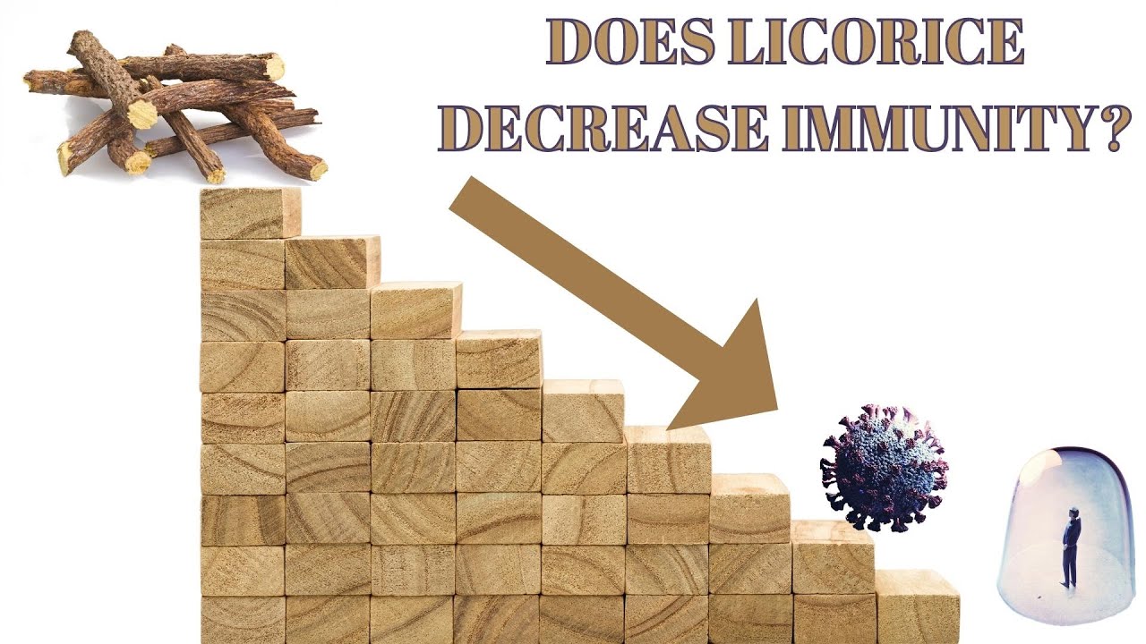Does Licorice decrease immunity? YouTube