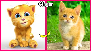 ? My Talking Tom Friends ?  Real Life