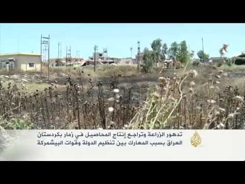 تدهور الزراعة في زمار بعد معارك التنظيم والبشمركة