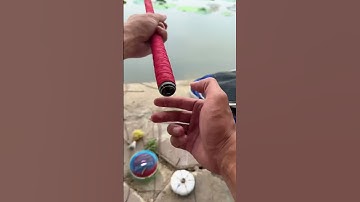 Set đồ câu lục cần tay cho người mới | hướng dẫn từ A đến Z #huongdansetdocauluccantay