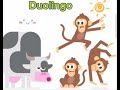 Duolingo: Mad monkeys