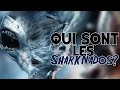 Le bestiaire de lhorreur 49  sharknado