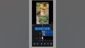 3 Layer Masking Editing in VN Editing App Tutorial