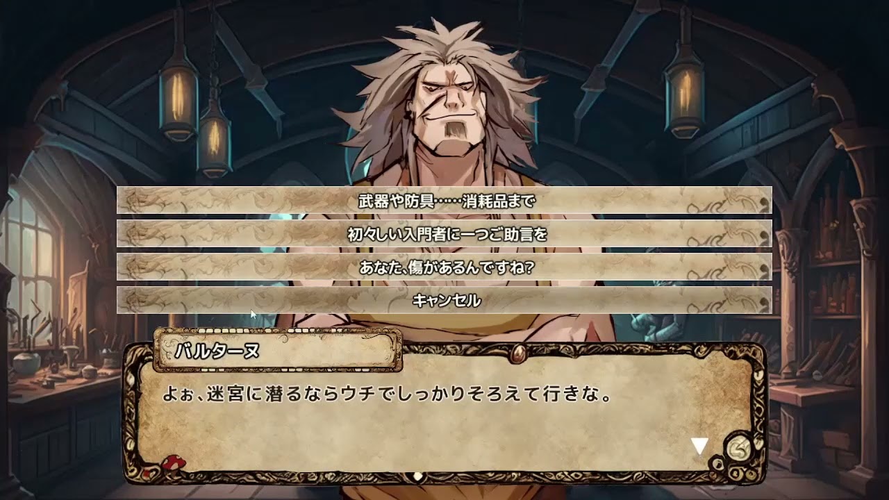 ※希少レア※999 In 1マルチゲームシステム☆ビデオゲーム 多種族が暮らすファンタジー世界の農場シム『Sun Haven』正式リリース