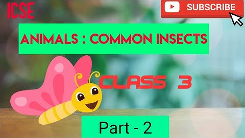 ANIMALS  : COMMON INSECTS, Class-3 Science, Part-2