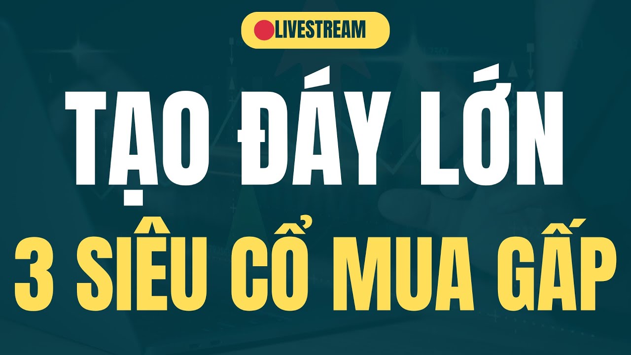 TẠO ĐÁY LỚN 3 SIÊU CỔ MUA GẤP  | NHẬN ĐỊNH CHỨNG KHOÁN | BÌNH TRẦN STOCK
