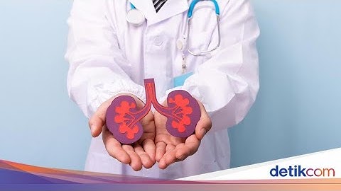 Terbangun Tengah Malam untuk Kencing? Waspada Tanda Gangguan Ginjal! | Penjelasan Dokter Spesialis