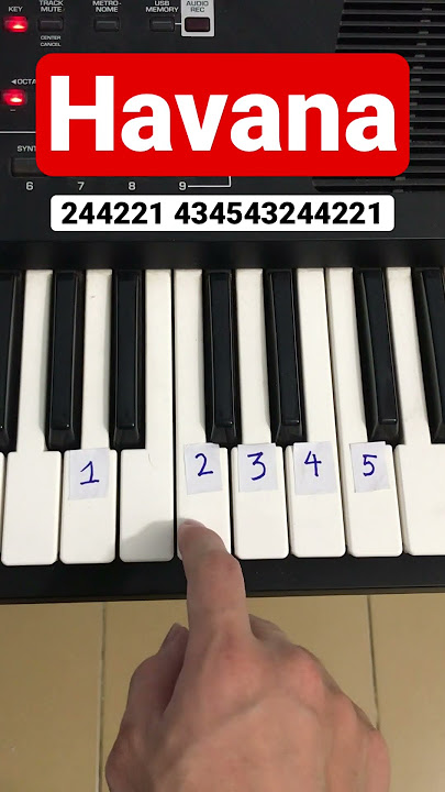 Havana | Easy piano tutorial #piano #pianotutorial  #pianoeasy #shorts   #havana #pianoinstructor