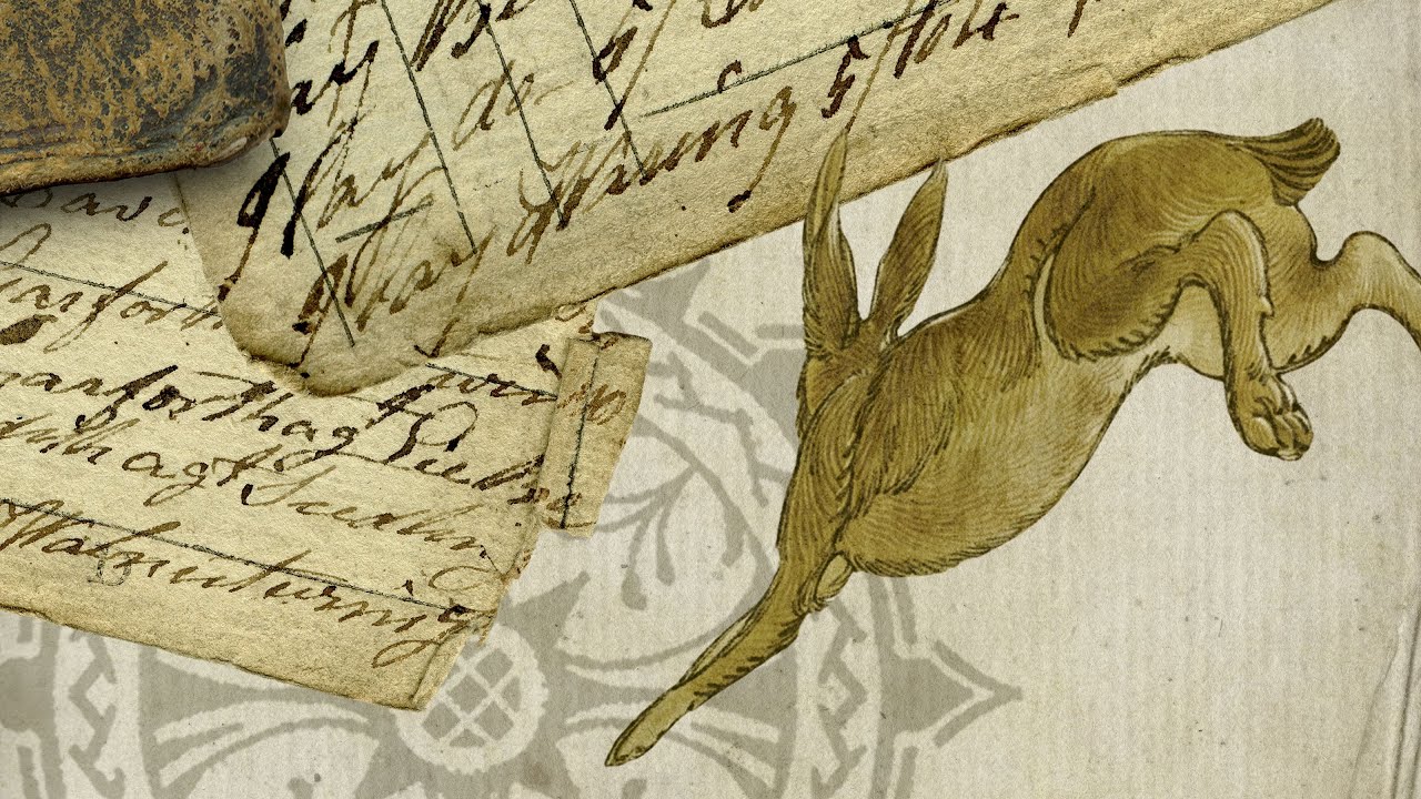 2. Yaelokre - Harpy Hare 𓆱 (Lyrics)