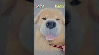 How to Draw a Dog Easy / Soft Pastel : วาดรูปสุนัข ด้วยเทคนิคสีชอล์ค ได้แบบนี้ screenshot 2
