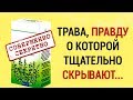 Чудо-Трава, или Хирург Без СКАЛЬПЕЛЯ. Снимает ВОСПАЛЕНИЯ,  Растворяет КАМНИ В ПОЧКАХ, Заживляет РАНЫ