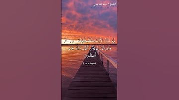 سورة محمد من آية 28 إلى آية 31 بصوت الشيخ ياسر الدوسري♥♥