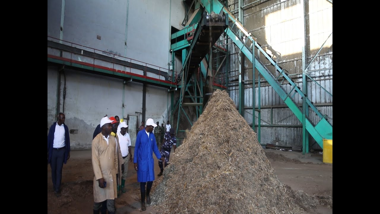 ISUKARI : Kugira isukari iboneke mw'ihinguriro SOSUMO bigenda gute na gute ?