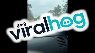 Driving Backwards On The Highway Viralhog