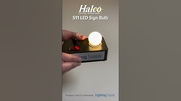 Halco Sign LED Bulb (S11WH1C/LED) #youtubeshorts #ledlights @HalcoLighting