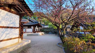 [4K] 남산한옥마을 걷기 – 서울 속 고요한 전통마을 산책 | 2025.04.15